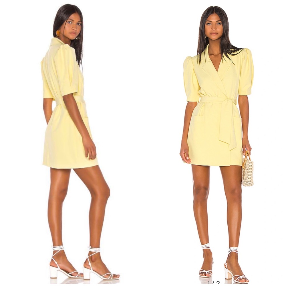 Song of style cadence mini dress